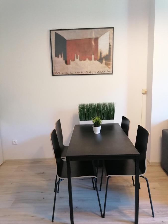 Old Cracow Apartment Mazowiecka 11 クラクフ エクステリア 写真